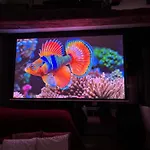 Studio Notre-Dame De Paris With Home Cinema